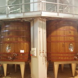 cantina deodorizzazione