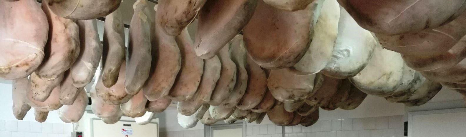 salumifici-e-carni-ozono-2